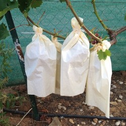 Bolsa de papel para uvas